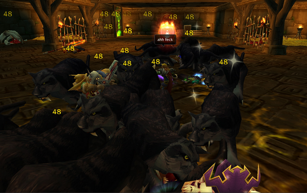 'Ahhh feck'

More Zul'Gurub, this was the moment you knew... you had fucked up. #PantherBoss #WoWNostalgia