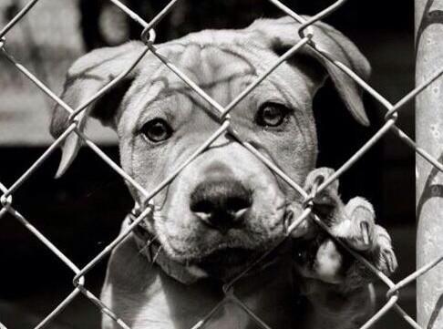 ( J A Y H ) M G W V tweet media