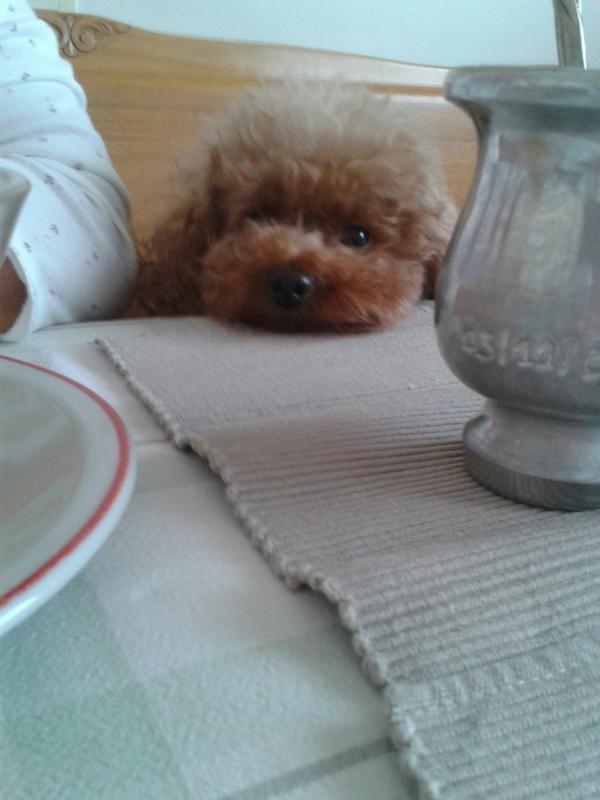 vicmoravec's tweet photo. Te voy a extrañar http://t.co/QSPGHS1Bo1