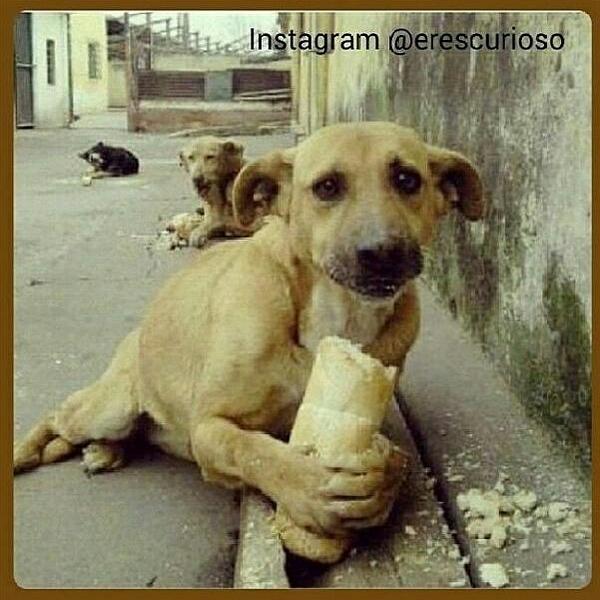 EresCurioso's tweet photo. Lo que para uno es poco, para ellos es mucho.  http://t.co/pJIQPNVqEl