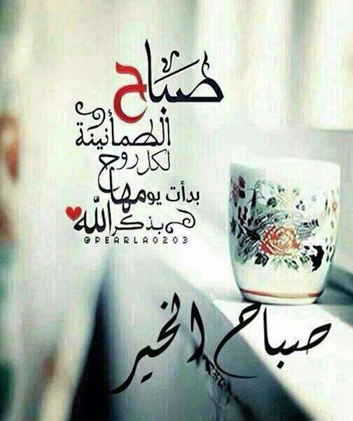 aliabaaly tweet picture