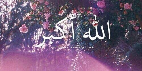 D54x__'s tweet photo. واذكروا الله كثيراً لعلكم تفلحون💞 http://t.co/W7TprBDqz4