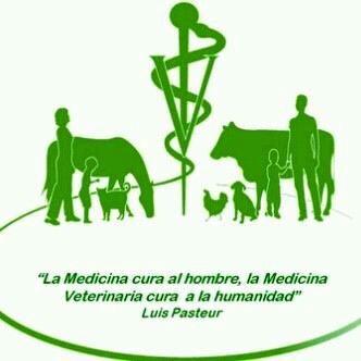 Enlace permanente de imagen incrustada