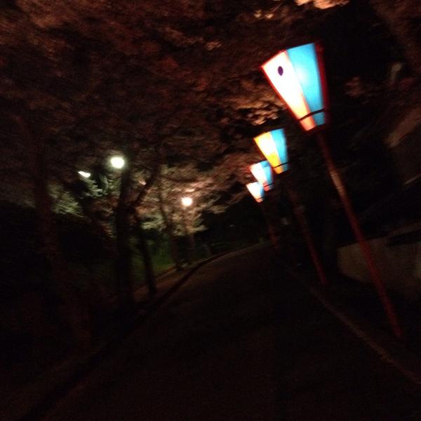 FumaK_nr's tweet photo. リプ返すつって全然浮上出来なくてごめんなパイ。今からリプと共にキクチが通過しまーす。お気をつけて。明日からまたどんどん浮上してくんでよろきくっち。んじゃ、今日はおやすみー。

#リプと共にキクチが通過 http://t.co/rnRFQ25NCk