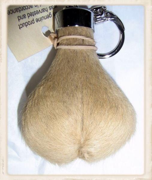 カンガルー 金玉 キーホルダー カンガルー金玉オーストラリア