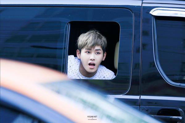 hogam.net 인가퇴근요정 귀야미●O● 업로드 #호야 #hoya cfile6.uf.tistory.com/image/230F6348…