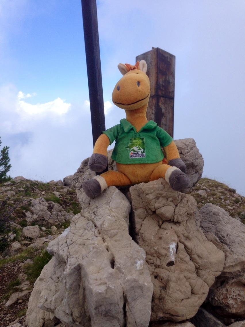 Permalien de l'image intégrée