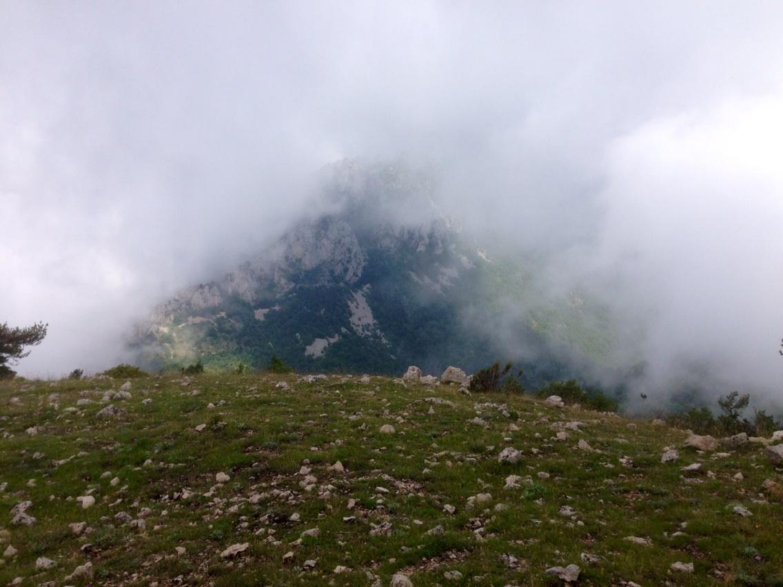 Permalien de l'image intégrée