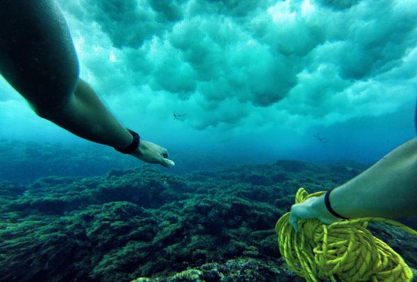 GoPro's tweet photo. Photo of the Day! Freediving beyond the break in the Marshall Islands. Photo by Jason Moran. http://t.co/IPch2bEpg3