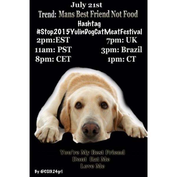 AdoreKitties's tweet image. Are you ready for this? #tweetstorm in 20 mins against the #dogmeattrade #YulinGetDogsOffTheMenu #notodogmeat