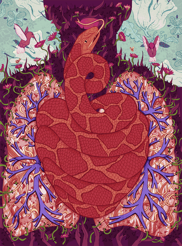 signalsca's tweet photo. MT @jesfortner: New illo for @waywardarts mag.Online Obsession Confessions: The Snake Charmer. http://t.co/0oi1dKob88 http://t.co/3Ahq3WLXTE