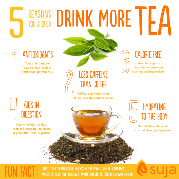 SujaJuice's tweet photo. Did you know that tea has remarkable healing properties? Here's 5 reasons you should drink up: http://t.co/ZAPLuLU8FR http://t.co/2z2brmfZ1J