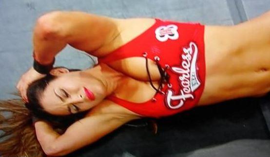 nikki bella nip slip - www.cazamar.com.