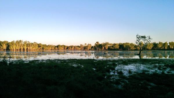 RT <a href="/CharterNorth/">Charter North</a>: Magical Kakadu wetlands @AusOutbackNT <a href="/Australia/">Australia</a>  <a href="/KakaduNT/">Kakadu National Park</a> <a href="/TourismAus/">Tourism Australia</a> <a href="/darwinaustralia/">Darwin NT Australia</a>