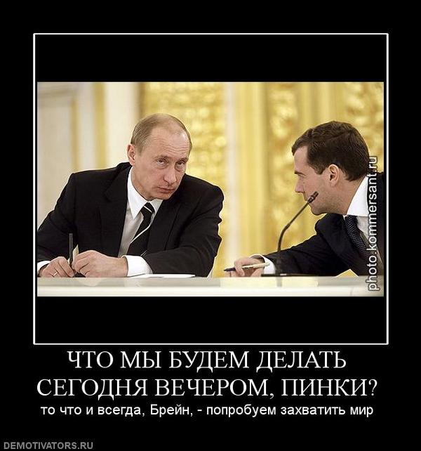 Что ты делаешь сегодня вечером. Пинки и Брейн захватить мир. Пытаться захватить мир. Что мы будем делать.