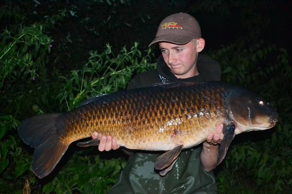 RyanNorris_39's tweet image. The Long common from Wyre lake at 28.8 #thekrill #atomictackle @StickyOfficial @atomictackleuk