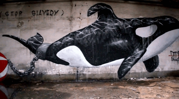 dodo's tweet photo. One crumbling wall turned into a powerful tribute to captive orcas
http://t.co/UEtWMx0MlF http://t.co/bqjoiUGYuE