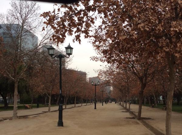 BambuRules's tweet image. 