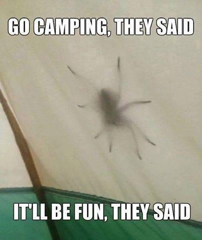 CampTrip (@camptrip) on Twitter photo 