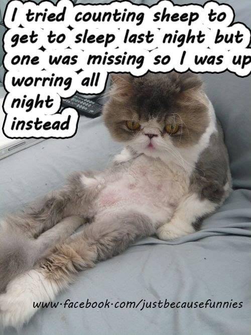 Trouble sleeping?...