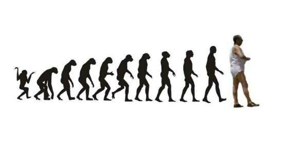 comiccornerv's tweet image. #evolutionisreal