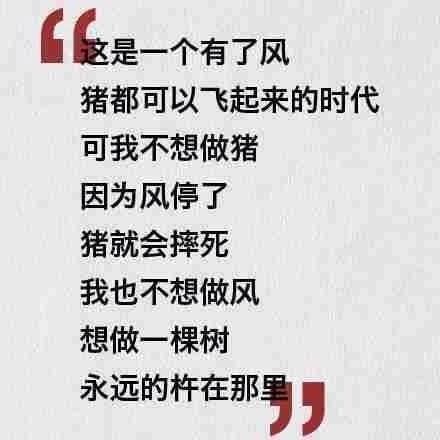 melodyz (@melodyz) on Twitter photo 