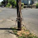 SpencerOnwukwe's tweet image. If you’ve seen #TrueDetective you’ll know why I’m scared #poopless by philippefl... If y... bit.ly/hubbygram