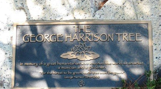 RT <a href="/JimmyOrr/">Jimmy Orr</a>: Favorite headline today: "George Harrison Memorial Tree killed ... by beetles" latimes.com/entertainment/…