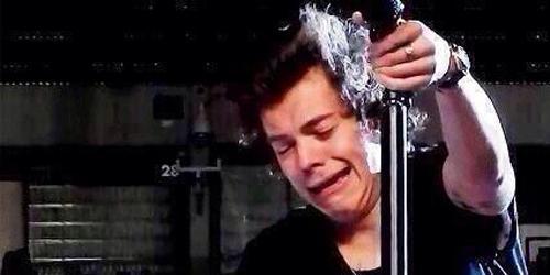 lewytate's tweet photo. #HarryAppreciationDay
#MTVHottest One Direction

" the boys' fourth anniversary is tomorrow"

The fandom rn: http://t.co/fYcMiL4rpE