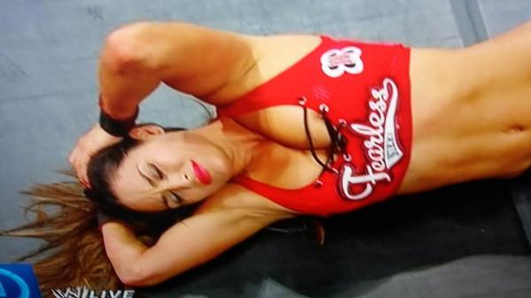 RT @KayfabeNews: Nikki Bella's nipple kicks out at two. http://t.co/vB0ZCbeGFO