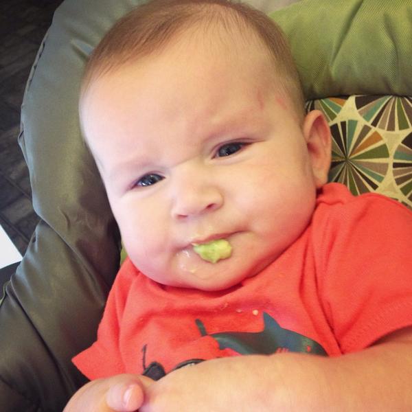bhattenb93's tweet photo. Avocado is not his favorite. Lol 🙅 http://t.co/QJw0e2RtVA