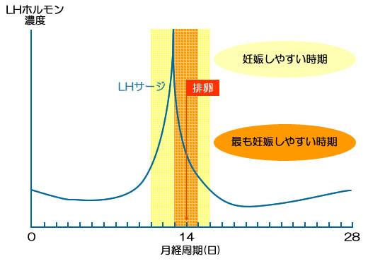 Happy820Live's tweet photo. 排卵前にエストロゲンが急激に増加
↓
黄体形成ホルモン（LH）が多量に分泌＝LHサージ！！
↓
排卵 https://t.co/RR1sAl4JUB