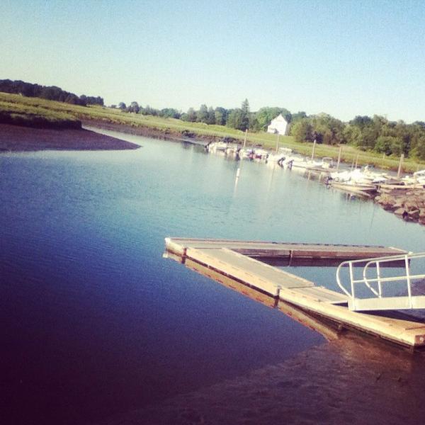 AddisonNichols's tweet image. 