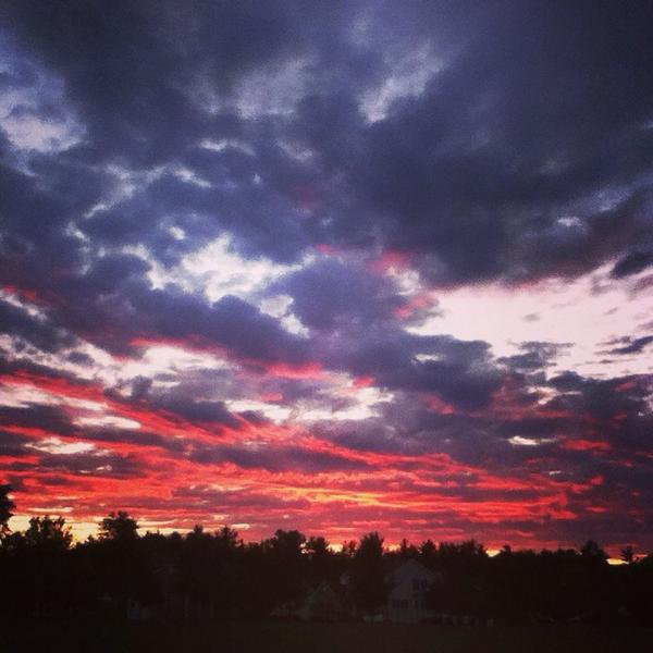 AddisonNichols's tweet image. That summer breeze