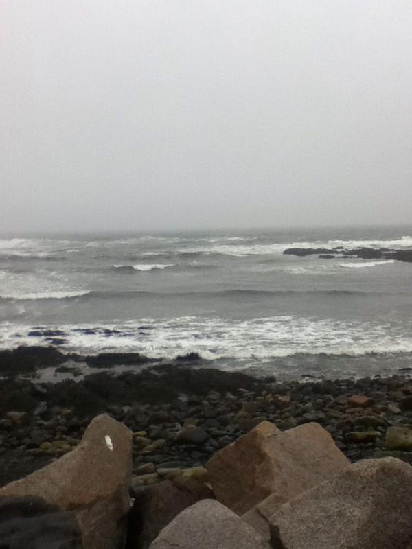 AddisonNichols's tweet image. Rye