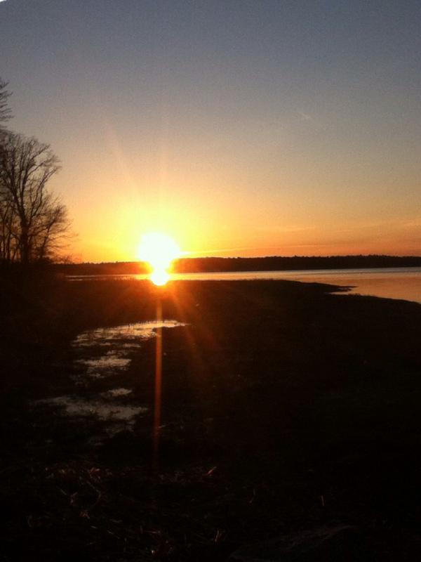 AddisonNichols's tweet image. Sunshine