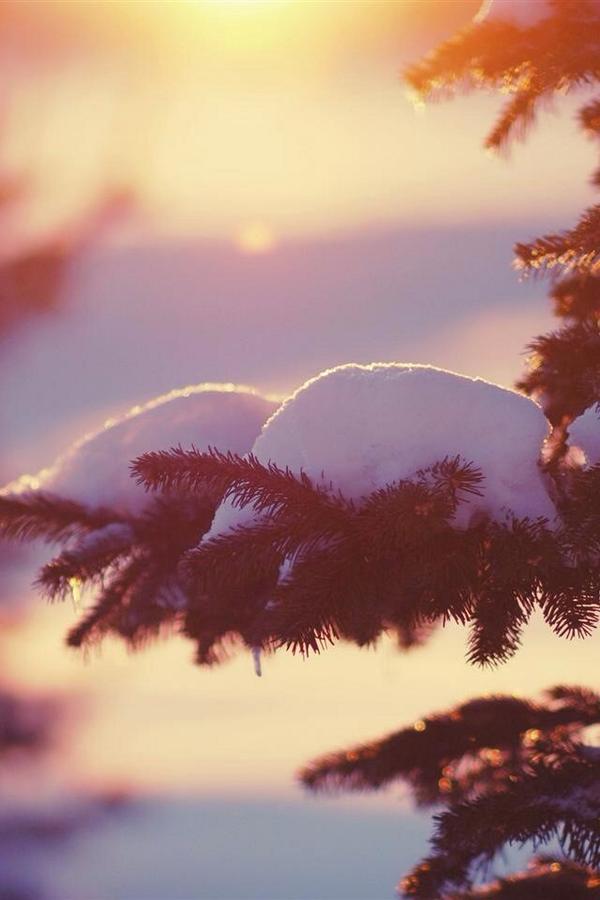 AddisonNichols's tweet image. 