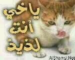 مبادل جيزان جاد (@kdhdy574) on Twitter photo 
