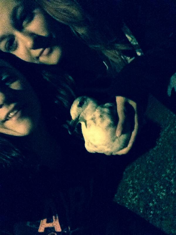 faustmiah's tweet photo. Saved a seagull last night. So proud😊 http://t.co/BJS5LqoaT0