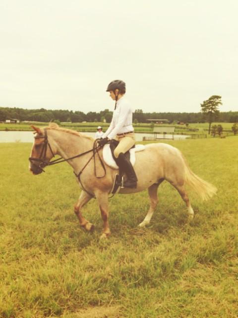 eqproblemz's tweet photo. scoot scoot http://t.co/Zld76ConDw