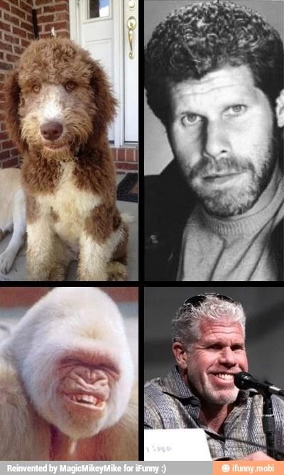 jaden quick tweet media