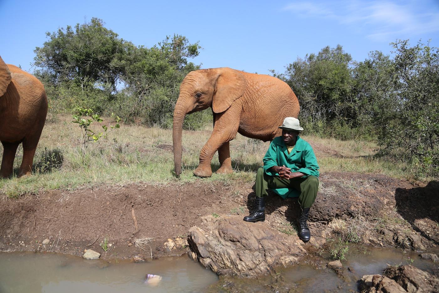 Sheldrick Wildlife Trust He S Behind You Barsilinga Http T Co 8ejxaohbpi Twitter