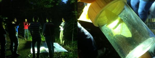 A little mothing is good for everyone! #Moth trapping <a href="/durham_uni/">Durham University</a> conservationecology.org/news/stus-top-… … <a href="/TeeganDocherty/">Teegan Docherty</a>