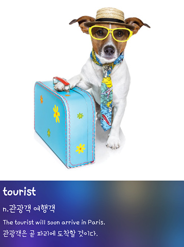 askedge's tweet image. &amp;lt;오늘의 영단어&amp;gt;

- tourist: 관광객, 여행객

The tourist will soon arrive in Paris.
관광객은 곧 파리에 도착할 것이다.