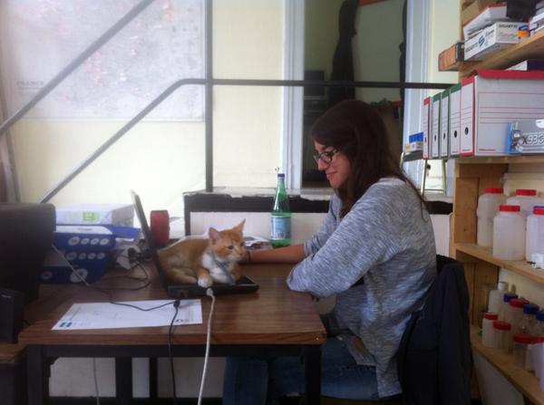 Atelier Reeb tweet media