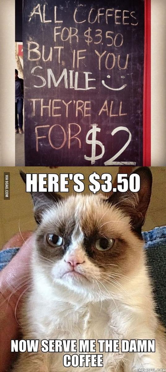 Best Funny angry cat Memes - 9GAG