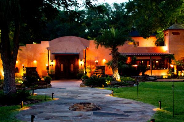 wedinhouston's tweet image. Where else can you enjoy this kind of #wedding elegance...plus an emu or 2? @AgaveEstates bit.ly/1pa9Rzx