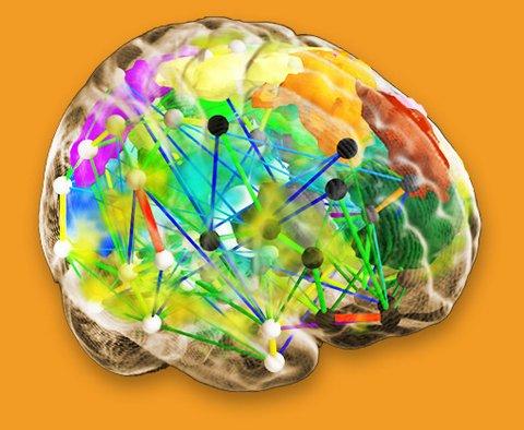 Inria's tweet photo. Inventing health: brain modelling becomes a reality http://t.co/JD08j9ujkV #RA2013 http://t.co/b7XoCTZGz1