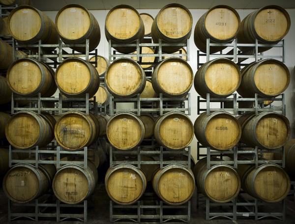 BrunyCider tweet picture
