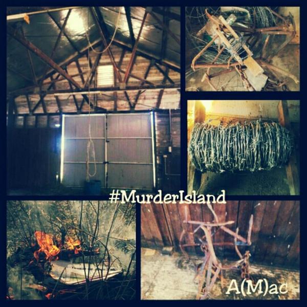 xTheAMac's tweet image. #MurderIsland #MurderIslandMovement #DifferentMind #DifferentDNA